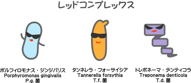 レッドコンプレックス