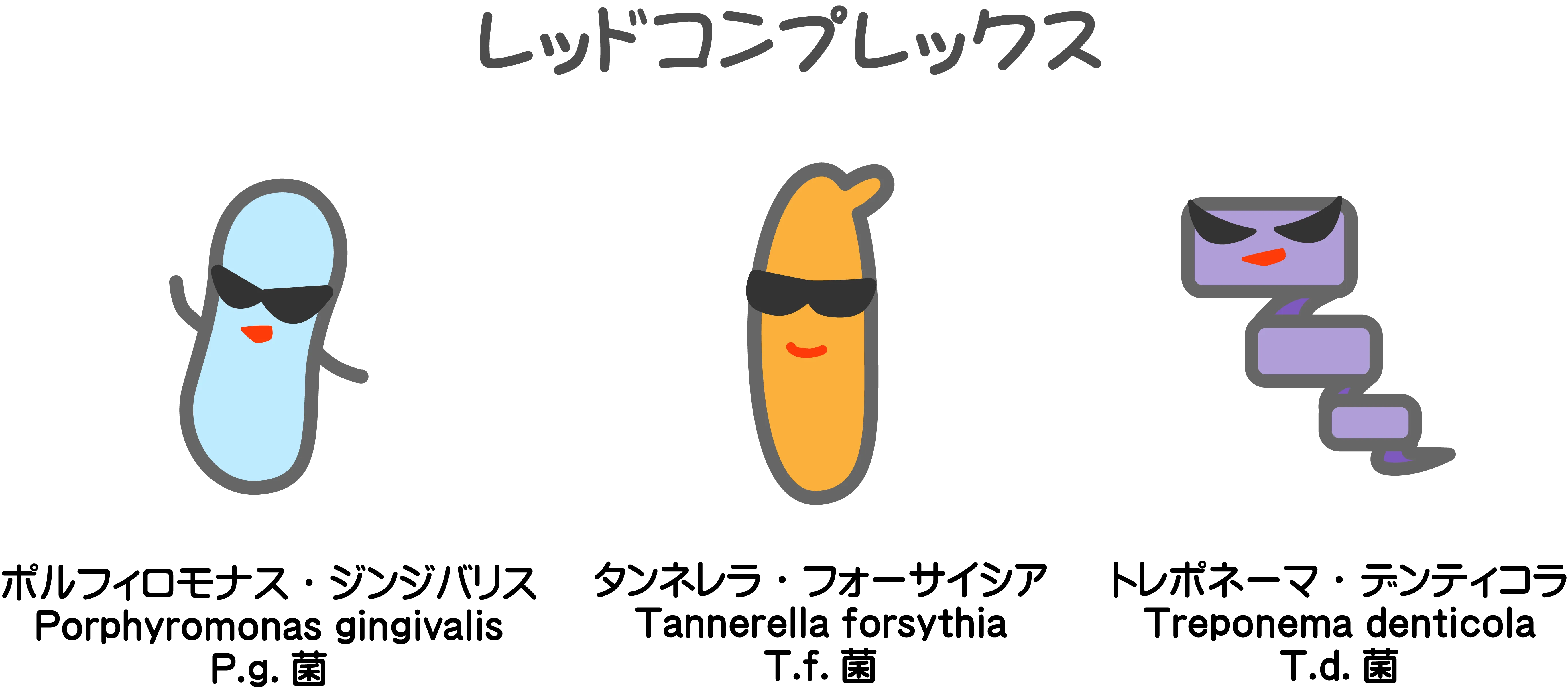 レッドコンプレックス